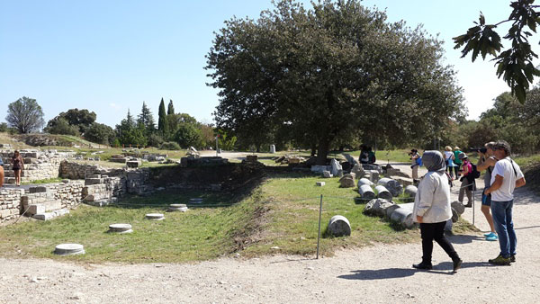 Troy5